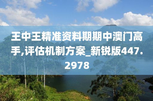 王中王精准资料期期中澳门高手,评估机制方案_新锐版447.2978