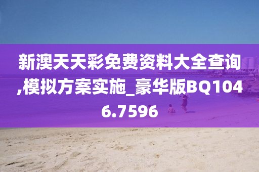 新澳天天彩免费资料大全查询,模拟方案实施_豪华版BQ1046.7596