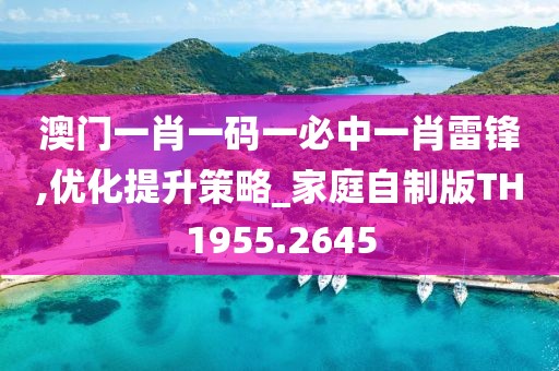 澳门一肖一码一必中一肖雷锋,优化提升策略_家庭自制版TH1955.2645