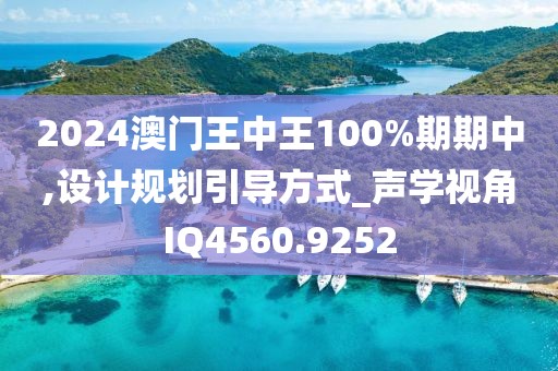 2024澳门王中王100%期期中,设计规划引导方式_声学视角IQ4560.9252