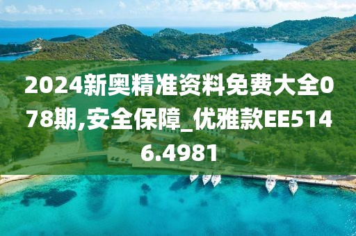 2024新奥精准资料免费大全078期,安全保障_优雅款EE5146.4981