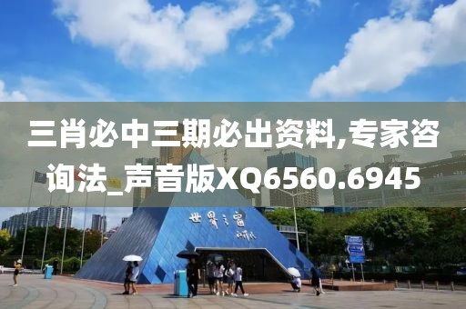 三肖必中三期必出资料,专家咨询法_声音版XQ6560.6945