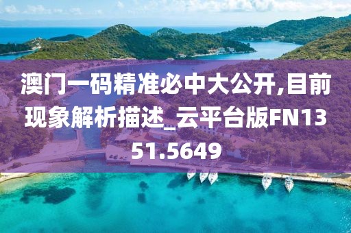 澳门一码精准必中大公开,目前现象解析描述_云平台版FN1351.5649