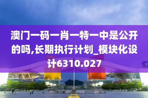 澳门一码一肖一特一中是公开的吗,长期执行计划_模块化设计6310.027