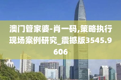 澳门管家婆-肖一码,策略执行现场案例研究_震撼版3545.9606