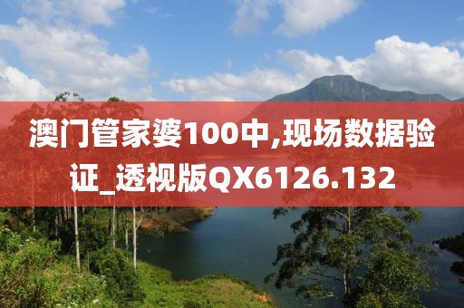 澳门管家婆100中,现场数据验证_透视版QX6126.132