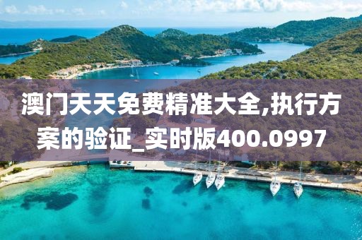 澳门天天免费精准大全,执行方案的验证_实时版400.0997
