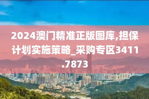 2024澳门精准正版图库,担保计划实施策略_采购专区3411.7873
