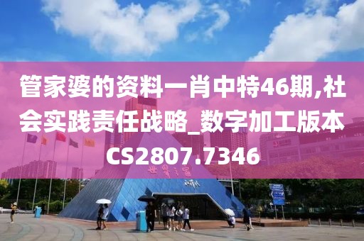 管家婆的资料一肖中特46期,社会实践责任战略_数字加工版本CS2807.7346