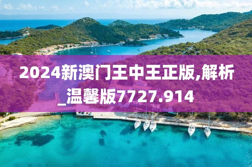 2024新澳门王中王正版,解析_温馨版7727.914