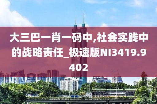 大三巴一肖一码中,社会实践中的战略责任_极速版NI3419.9402