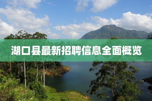 湖口县最新招聘信息全面概览