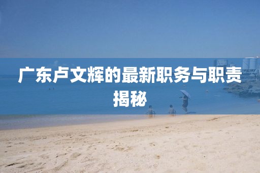 广东卢文辉的最新职务与职责揭秘