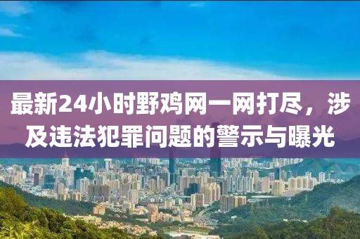 最新24小时野鸡网一网打尽，涉及违法犯罪问题的警示与曝光
