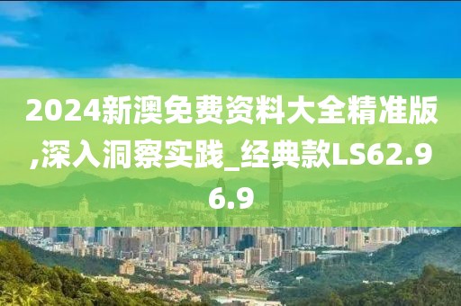 2024新澳免费资料大全精准版,深入洞察实践_经典款LS62.96.9