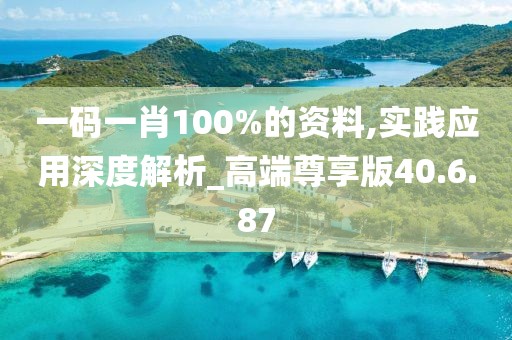 一码一肖100%的资料,实践应用深度解析_高端尊享版40.6.87