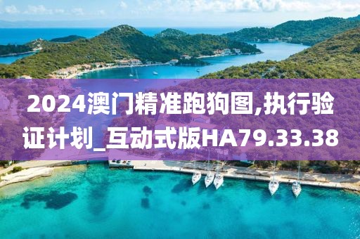 2024澳门精准跑狗图,执行验证计划_互动式版HA79.33.38