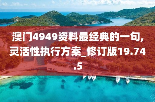 澳门4949资料最经典的一句,灵活性执行方案_修订版19.74.5