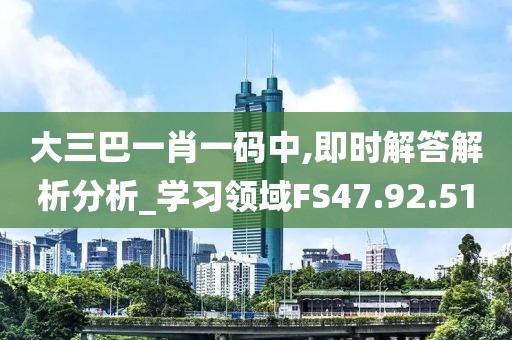 大三巴一肖一码中,即时解答解析分析_学习领域FS47.92.51