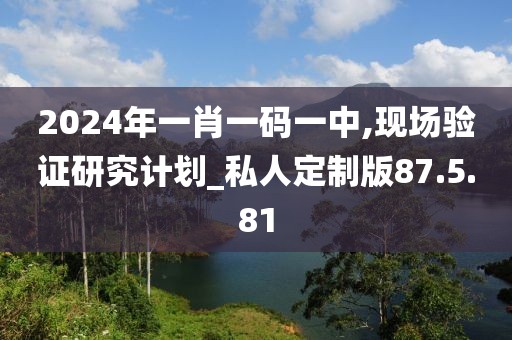 2024年一肖一码一中,现场验证研究计划_私人定制版87.5.81