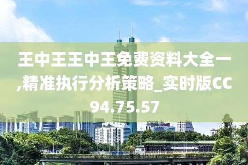 王中王王中王免费资料大全一,精准执行分析策略_实时版CC94.75.57