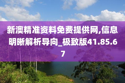 新澳精准资料免费提供网,信息明晰解析导向_极致版41.85.67
