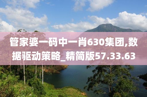 管家婆一码中一肖630集团,数据驱动策略_精简版57.33.63