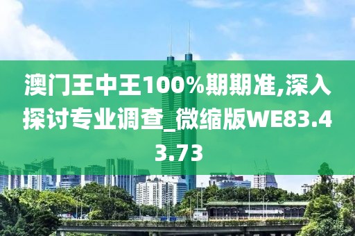 澳门王中王100%期期准,深入探讨专业调查_微缩版WE83.43.73