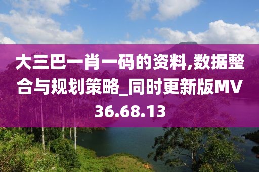 大三巴一肖一码的资料,数据整合与规划策略_同时更新版MV36.68.13