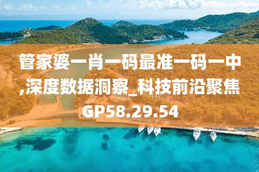 管家婆一肖一码最准一码一中,深度数据洞察_科技前沿聚焦GP58.29.54
