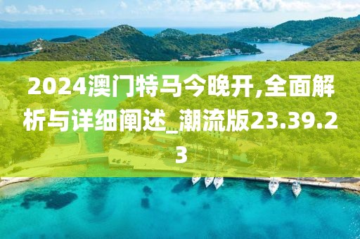 2024澳门特马今晚开,全面解析与详细阐述_潮流版23.39.23