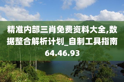 精准内部三肖免费资料大全,数据整合解析计划_自制工具指南64.46.93