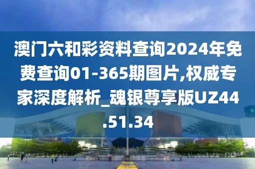 澳门六和彩资料查询2024年免费查询01-365期图片,权威专家深度解析_魂银尊享版UZ44.51.34
