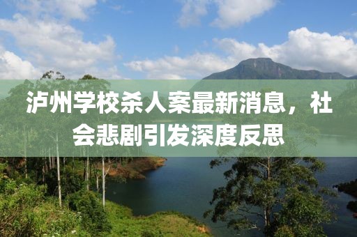泸州学校杀人案最新消息，社会悲剧引发深度反思