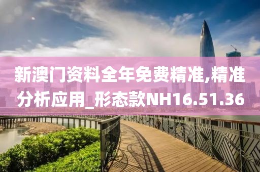 新澳门资料全年免费精准,精准分析应用_形态款NH16.51.36