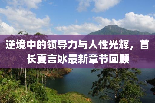 逆境中的领导力与人性光辉，首长夏言冰最新章节回顾