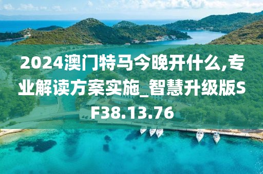 2024澳门特马今晚开什么,专业解读方案实施_智慧升级版SF38.13.76
