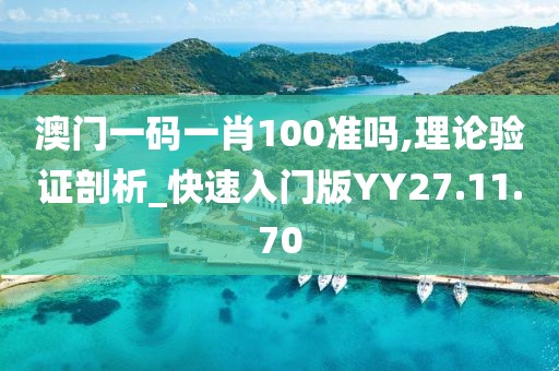 澳门一码一肖100准吗,理论验证剖析_快速入门版YY27.11.70