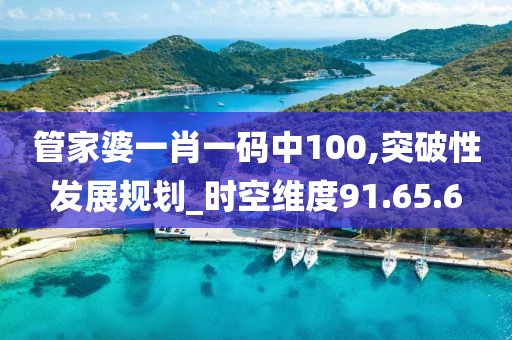 管家婆一肖一码中100,突破性发展规划_时空维度91.65.6
