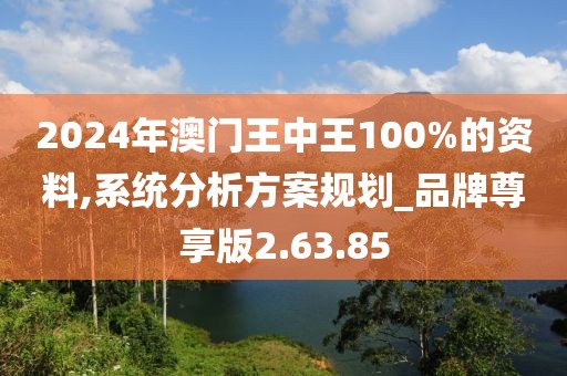 2024年澳门王中王100%的资料,系统分析方案规划_品牌尊享版2.63.85