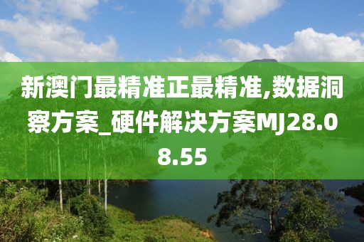 新澳门最精准正最精准,数据洞察方案_硬件解决方案MJ28.08.55