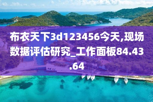 布衣天下3d123456今天,现场数据评估研究_工作面板84.43.64