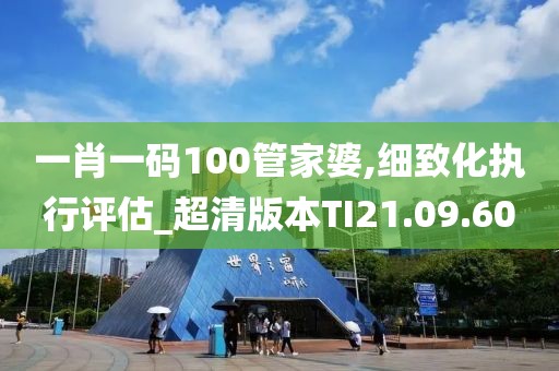 一肖一码100管家婆,细致化执行评估_超清版本TI21.09.60