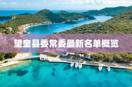 夏奈儿 第43页