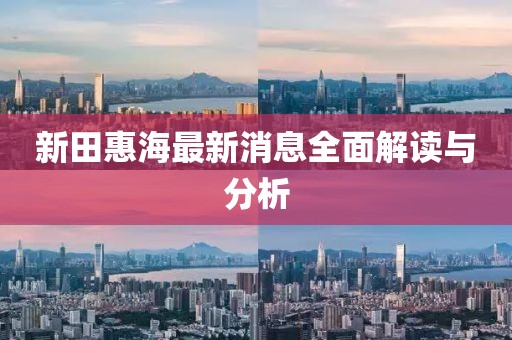 新田惠海最新消息全面解读与分析