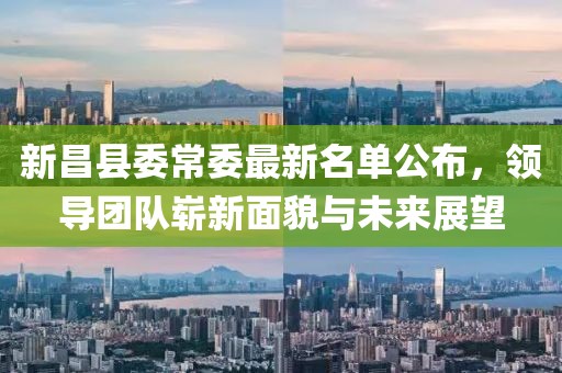 新昌县委常委最新名单公布，领导团队崭新面貌与未来展望