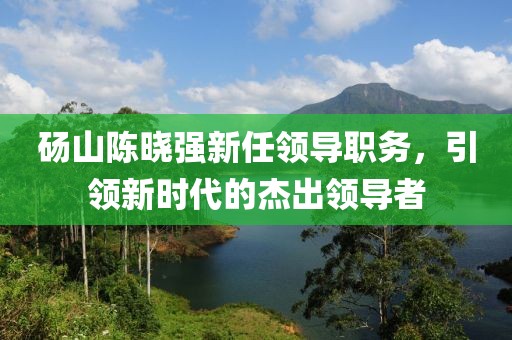 砀山陈晓强新任领导职务，引领新时代的杰出领导者