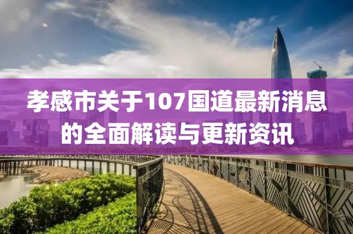 孝感市关于107国道最新消息的全面解读与更新资讯