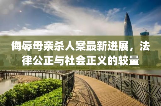 侮辱母亲杀人案最新进展，法律公正与社会正义的较量