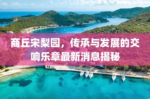 商丘宋梨园，传承与发展的交响乐章最新消息揭秘
